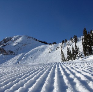 © Alta Ski Area