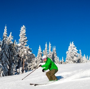 © Grouse Mountain