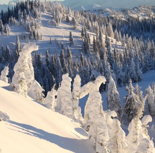 © Whitefish Mountain Resort