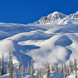 © Danny Stoffel, CMH Heli-Skiing