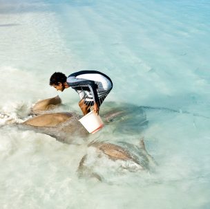 © Banyan Tree Vabbinfaru