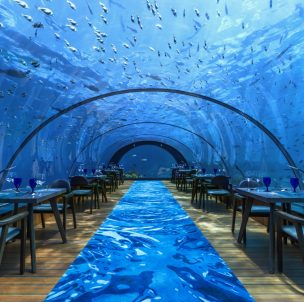 © Hurawalhi Maldives