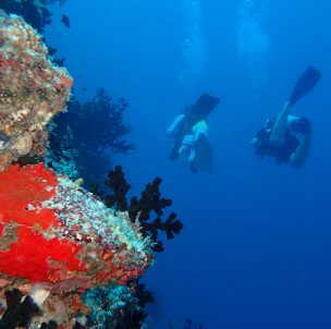 © The Nautilus Maldives