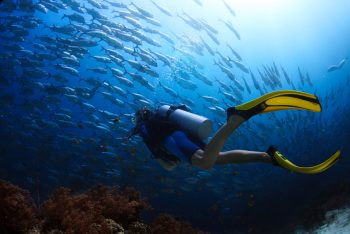 Tauchen im Furaveri Maldives