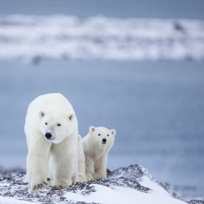 © Destination Canada